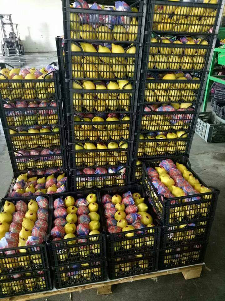 Aton Green Egypt Fresh Fruits & Vegetables